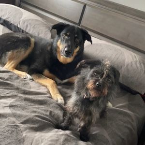 Meet your Posher, Debbie